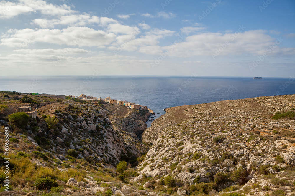 Limestone rocks covered by exotic plants - coast of Malta island