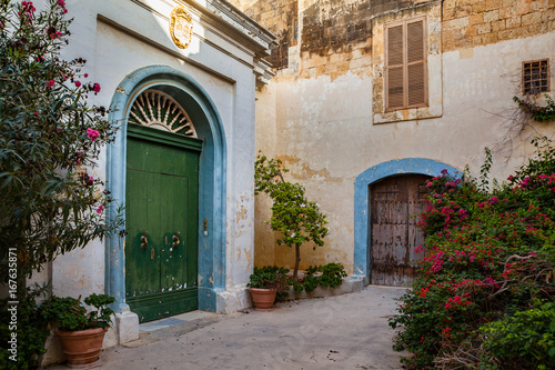 Fototapeta Naklejka Na Ścianę i Meble -  Streets of old town at sunny day. Cozy yard with exotic plants, Mdina, Malta.