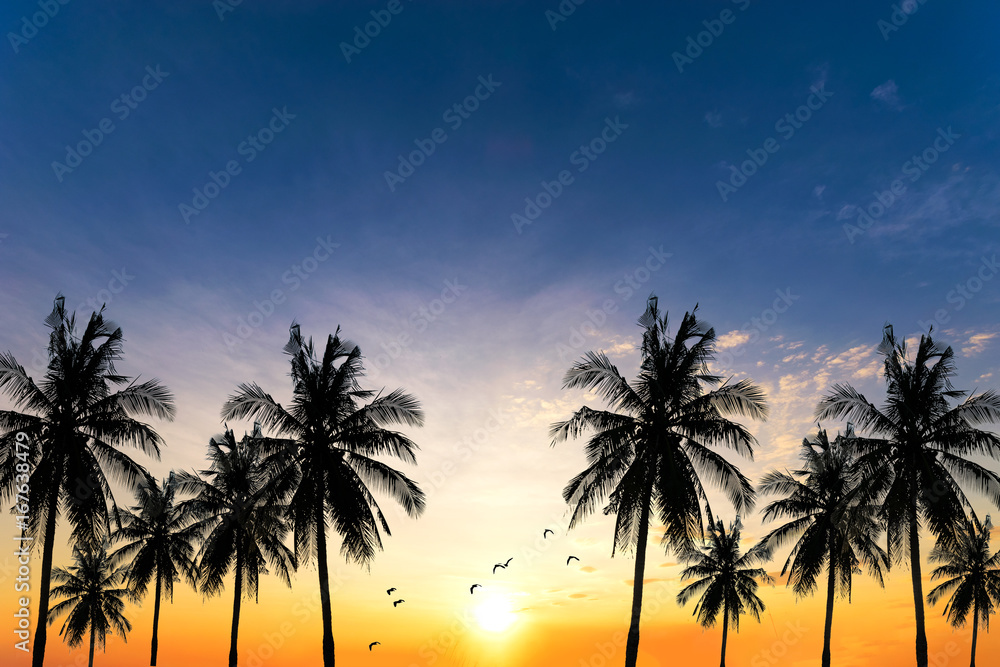 Coconut seaside landscape in the sunset (sunrise)
