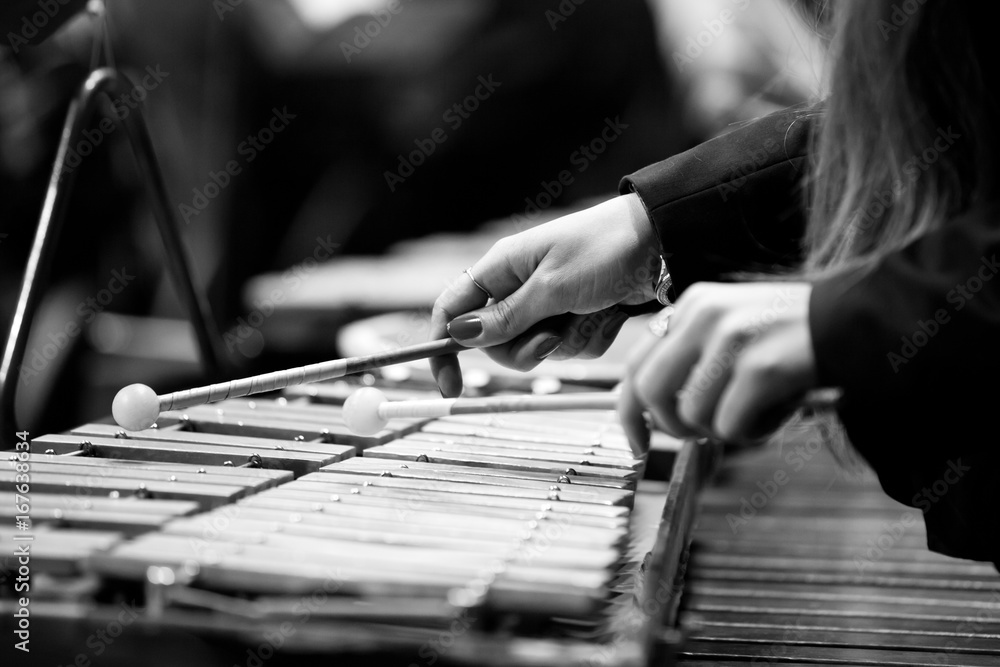  Hands of a girl playing a glockenspiel closeup in black and white