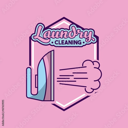 laundry cleaning delicate icon vector illustration design graphic