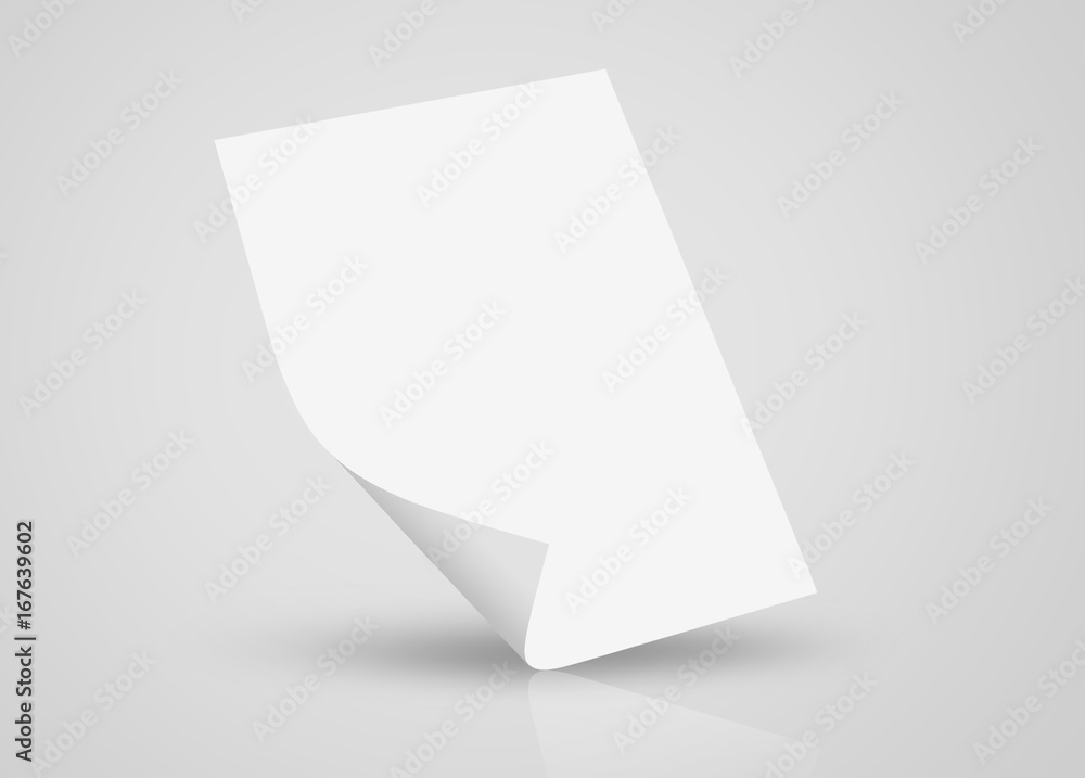 Letterhead A4 Mock Up, Blank Presentation Design Template of Letterhead Letterhead A4 Mock Up, Blank Presentation Design Template of Letterhead