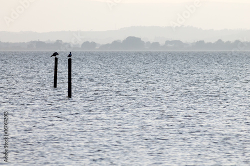 Two seagulls on poles on a lake, with distant hills in the background, and very soft colors, mostly white and light blue
