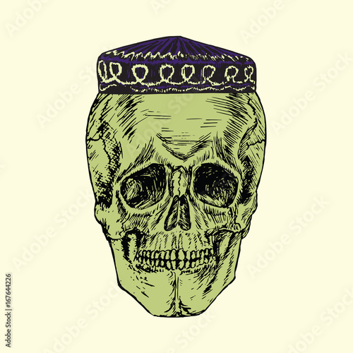 Skull in skullcap hat, hand drawn doodle, sketch in woodcut style, color vector illustration