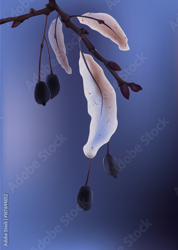 Vector illustration with dry branch on the foggy background