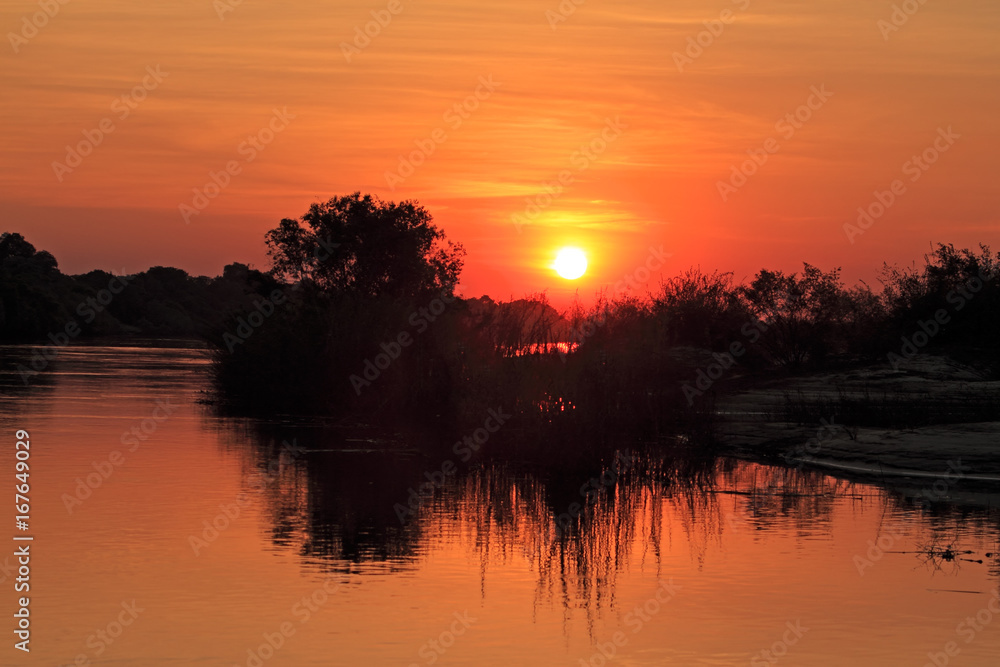 Fototapeta premium Sunset with silhouetted trees reflected in the water, Zambezi river, Namibia.
