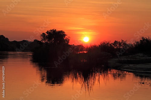 Sunset with silhouetted trees reflected in the water  Zambezi river  Namibia.