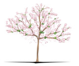 An illustration of a cherry-blossom tree