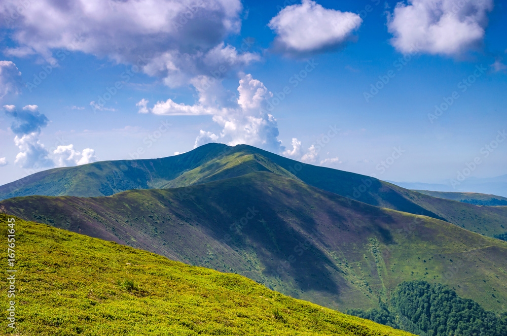 Fototapeta premium Background landscape with Ukrainian Carpathian Mountains in the Pylypets