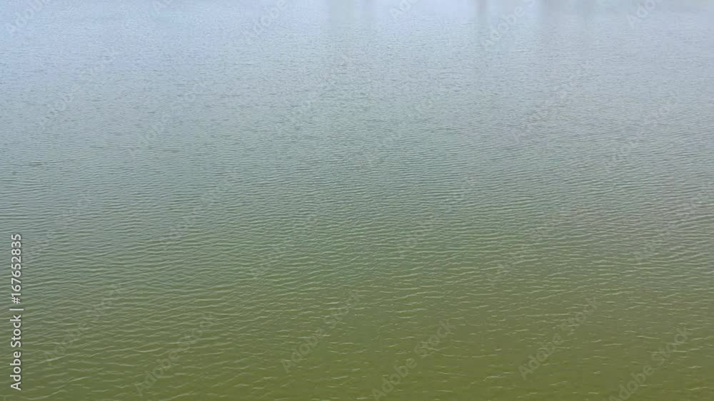 Aerial view at Tisa river near Curug in Serbia