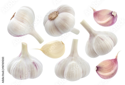 Garlic isolated on white background. Collection