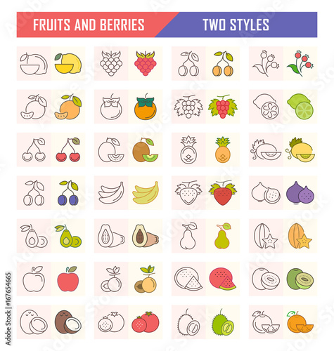Set Vector Illustration of Fruits and Berries on White Backgroun