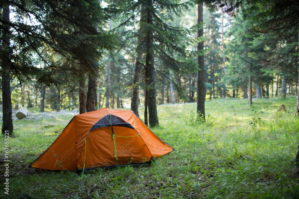 Tent in the forest