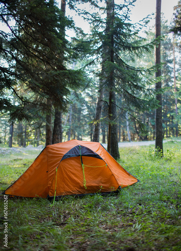 Tent in the forest