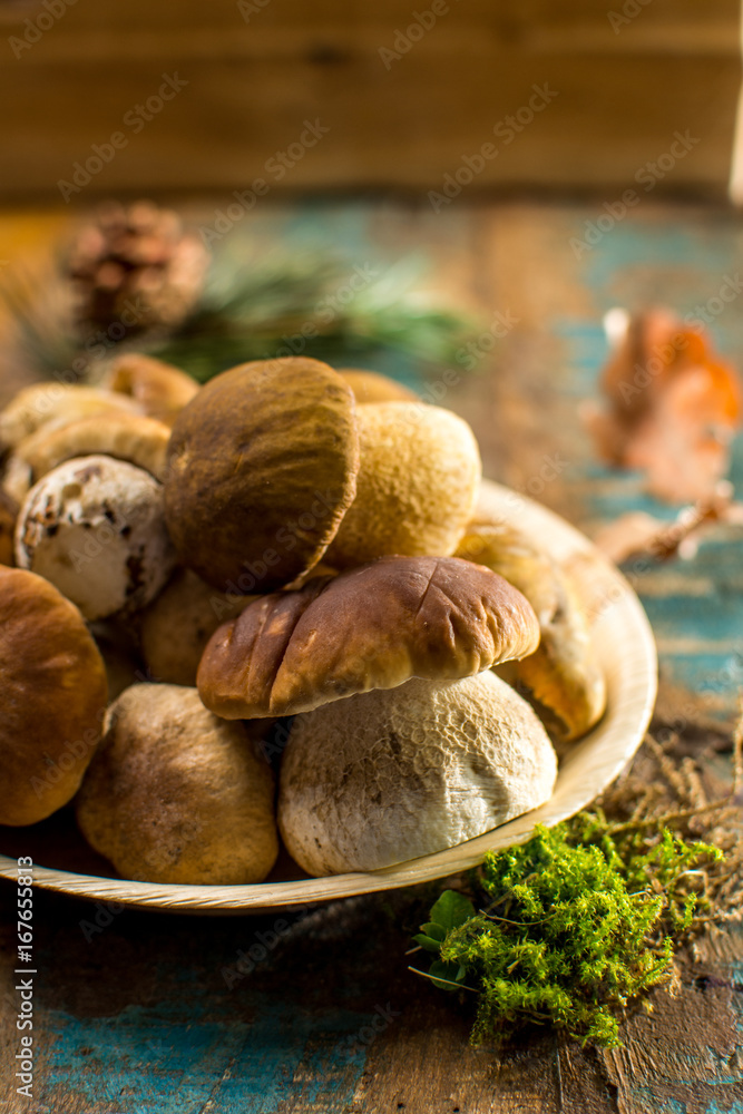 Tasty food - fresh porcini boletus oak mushrooms, high quality, ready to cook Tasty food - fresh porcini boletus oak mushrooms, high quality, ready to cook
