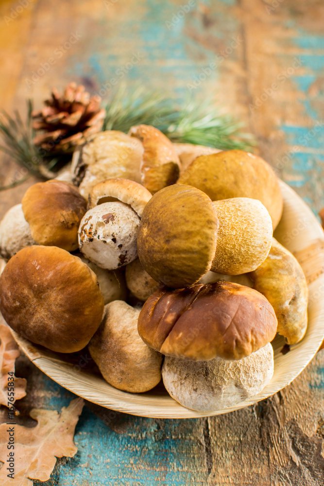 Tasty food - fresh porcini boletus oak mushrooms, high quality, ready to cook