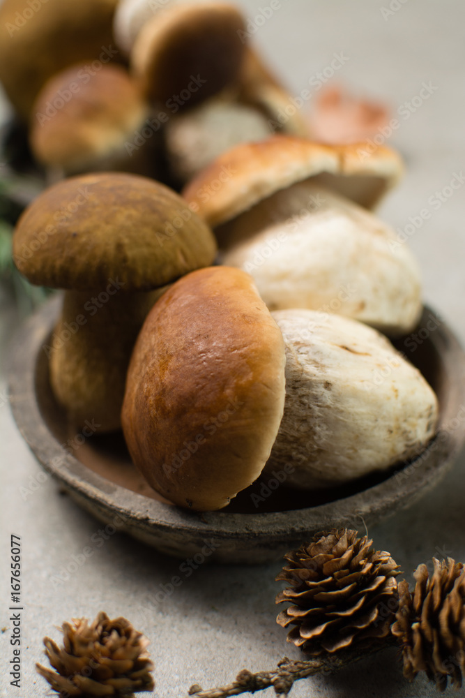 Tasty food - fresh porcini boletus oak mushrooms, high quality, ready to cook Tasty food - fresh porcini boletus oak mushrooms, high quality, ready to cook