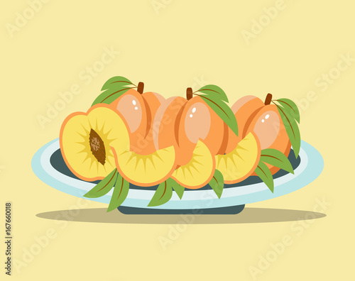 Vector illustration of peaches on the plate, full peaches, half peaches, slices of peaches in summer