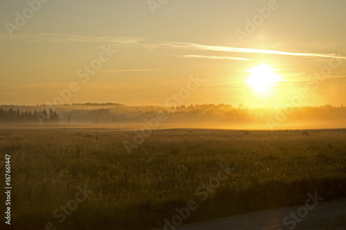 Dawn in the field © leonidis97