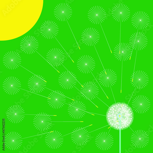 Green spring background with stylized dandelion and sun. Vector