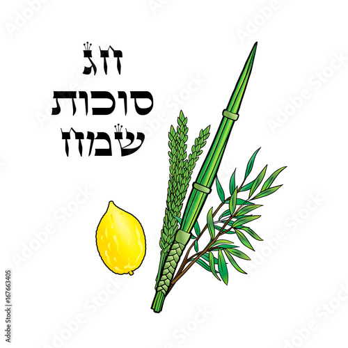 Happy Sukkot poster. Hebrew translate: Happy Sukkot Holiday. Jewish traditional four species lulav, etrog for Jewish Holiday Sukkot. Vector Jewish new year. Autumn Fest. Rosh Hashanah Israel Sukkah