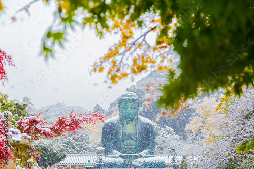 The Great Buddha in Kamakura.It's snowing.The foreground is a ginkgo tree and maple tree.Located in Kamakura, Kanagawa Prefecture Japan.