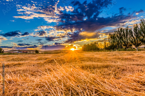 ATARDECER SOBRE LAS PAJAS DE LUIS