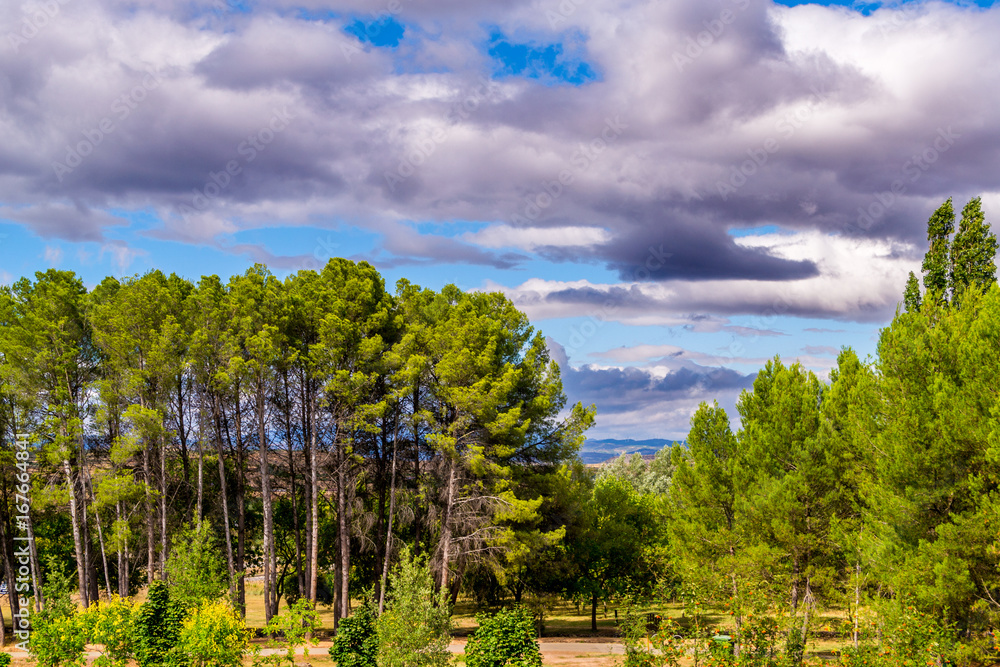 Obraz premium La Grajera II-49