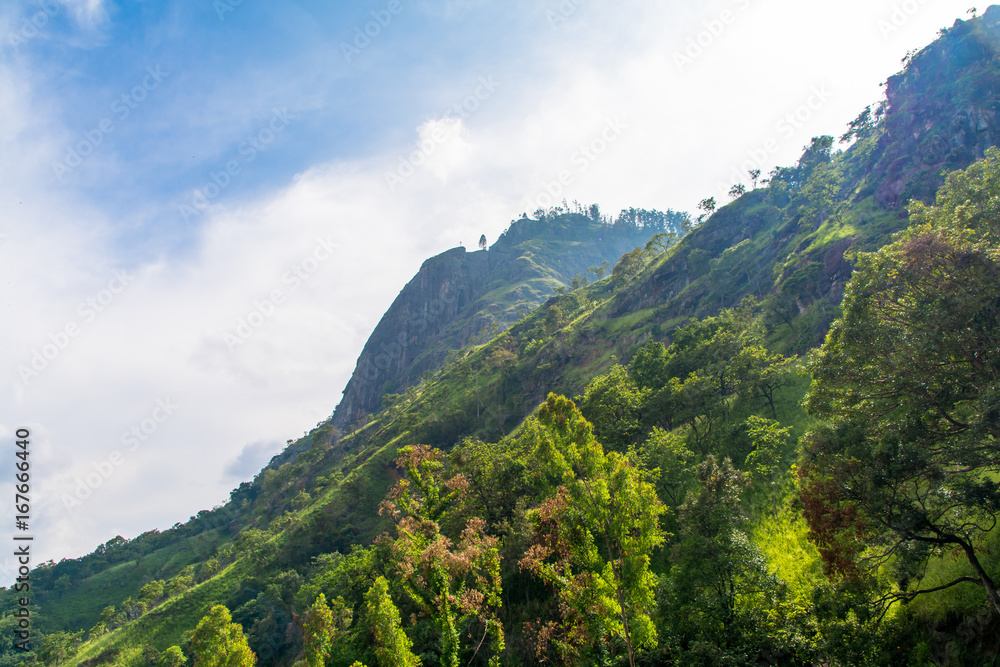 Scenics view of Sri Lanka Highlands Mountain