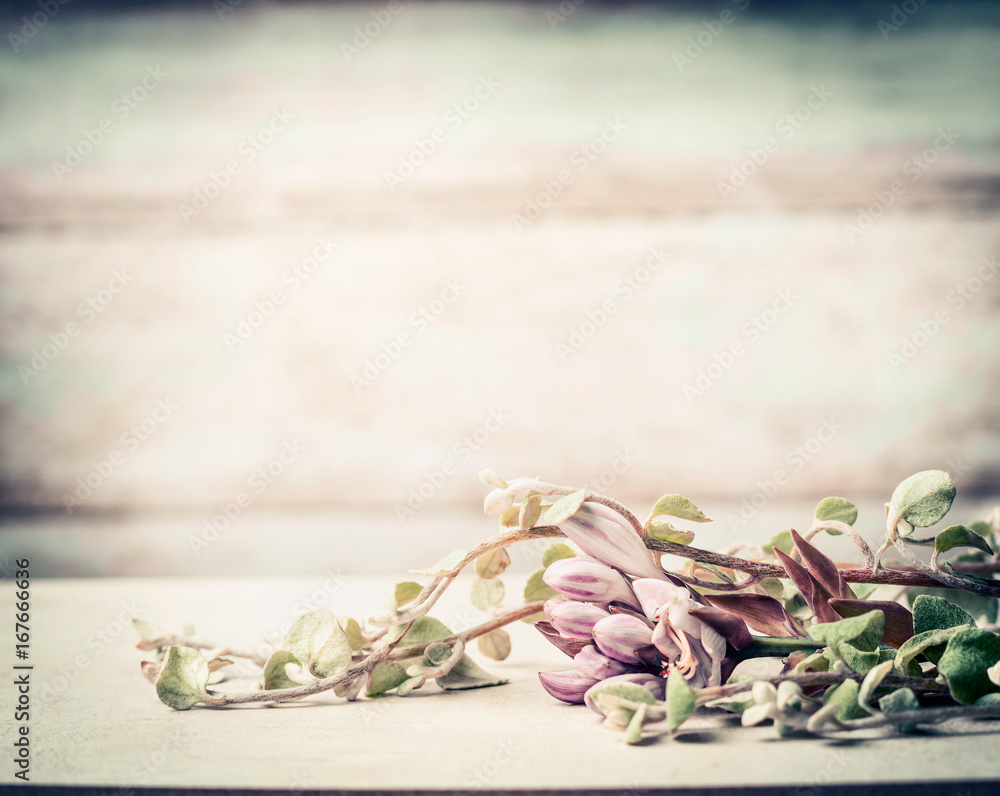 Fresh plants and flowers on wooden background, close up Fresh plants and flowers on wooden background, close up