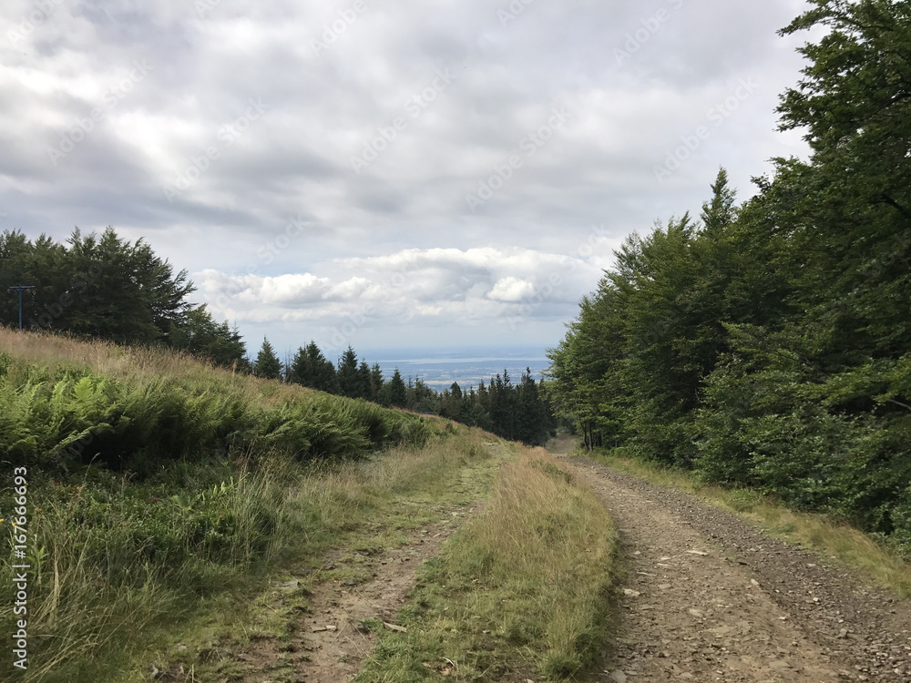 Path on the Szyndzielnia mountain