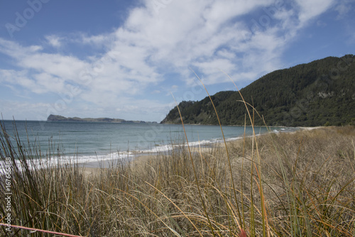 Pauanui Beach with view on shoe island photo