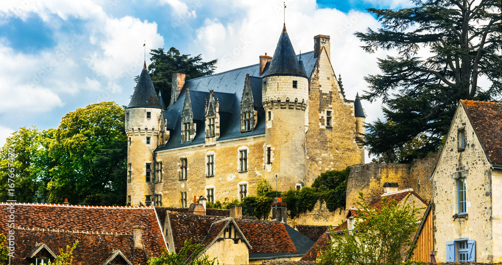 Beautiful romantic castles of Loire valley - Montresor chateau. France