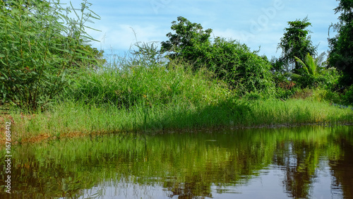 Landscape of pond in countryside