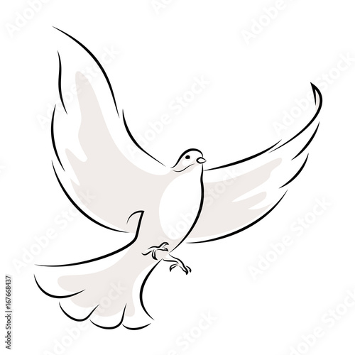 Line Art Vector Illustration Of A Flying White Dove.