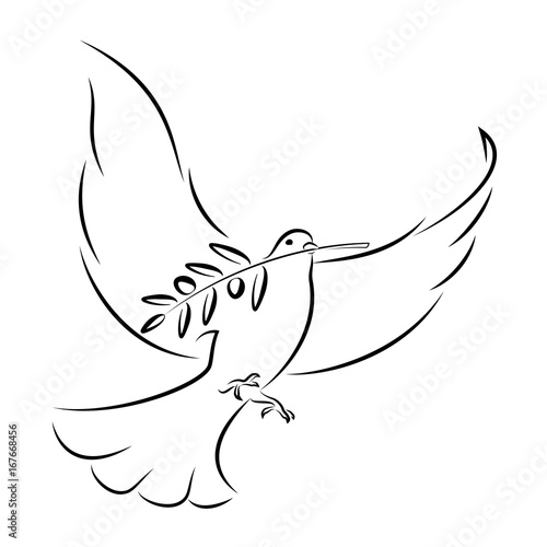 White Dove With Olive Branch. Vector Illustration.