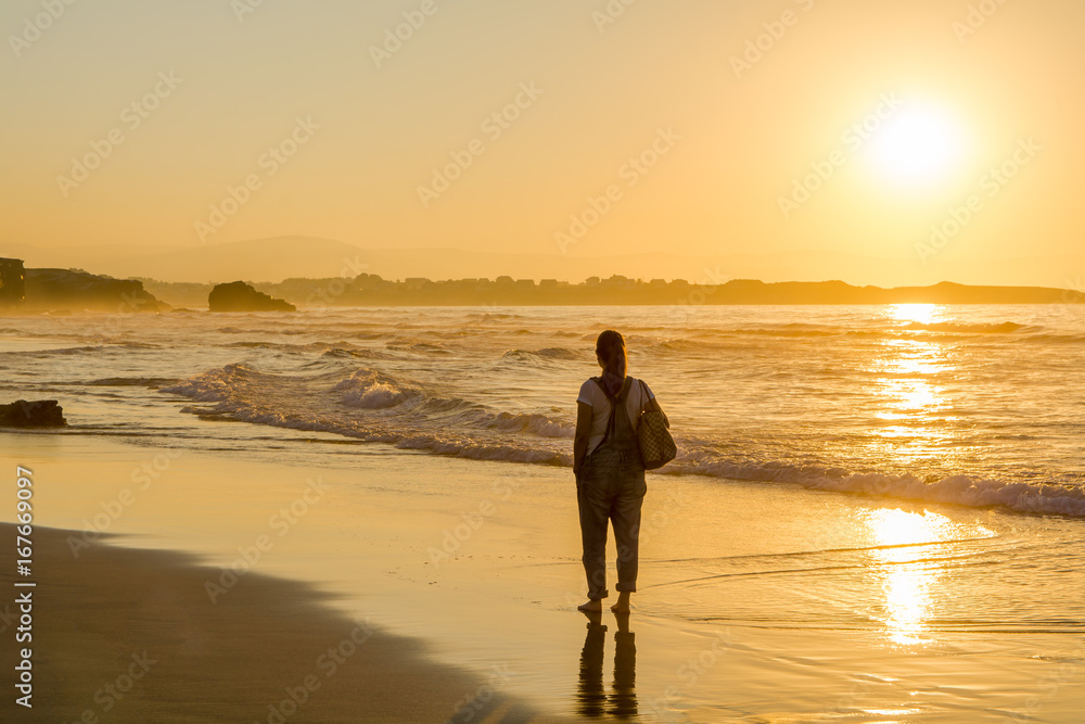 Scencis View of Woman Walking on the Beach During Sunset