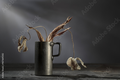 Still Life with withered Flowers