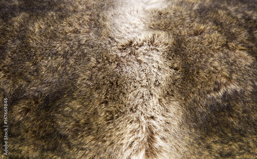 Naklejka premium Natural deer skin