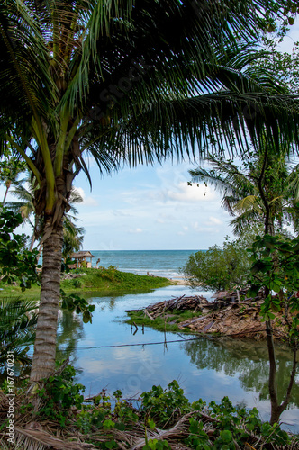 Scenics View of River Amidst Palm Trees Against Sea