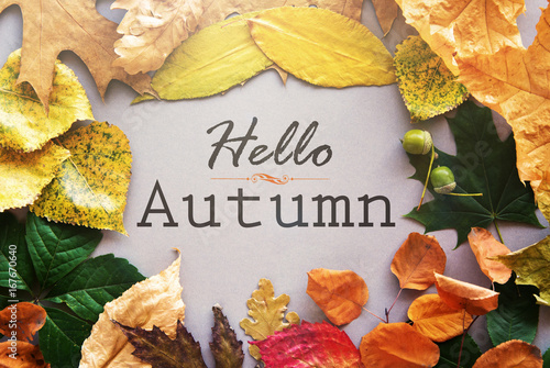 Hello Autumn card composition from leaf. vintage forest filter 