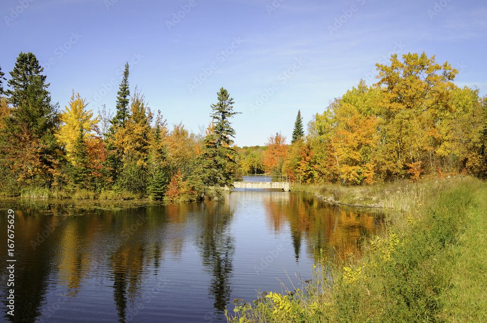 autumn trees on lakeshore northern Minnesota 