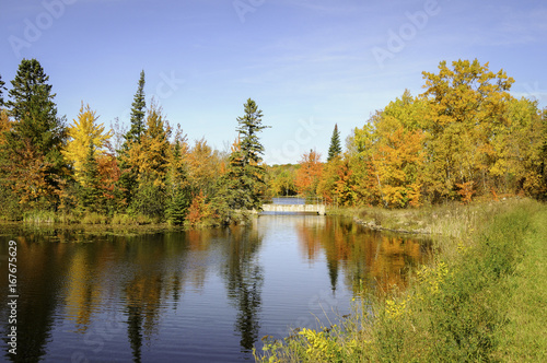 autumn trees on lakeshore northern Minnesota 