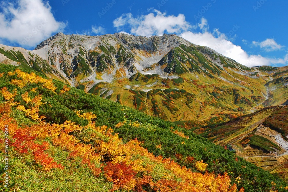 Tateyama mountains  ~  autumn colors