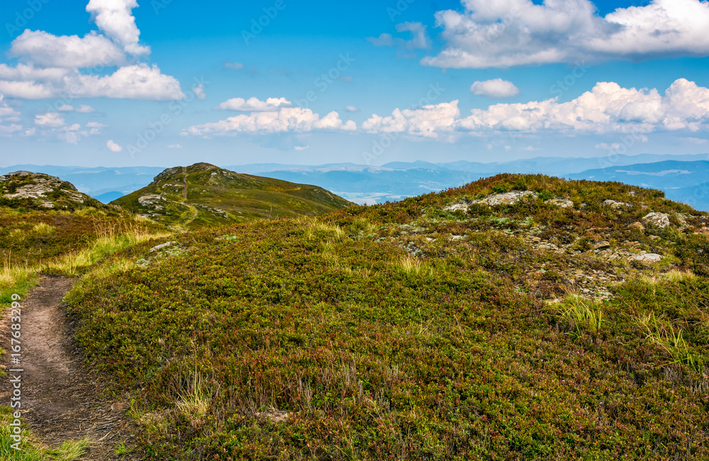 Fototapeta premium path through grassy hills with rocks