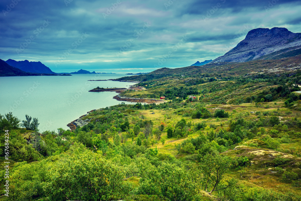 View of the fjord. Rocky seashore with blue cloudy sky. Beautiful nature Norway. Sea low tide View of the fjord. Rocky seashore with blue cloudy sky. Beautiful nature Norway. Sea low tide