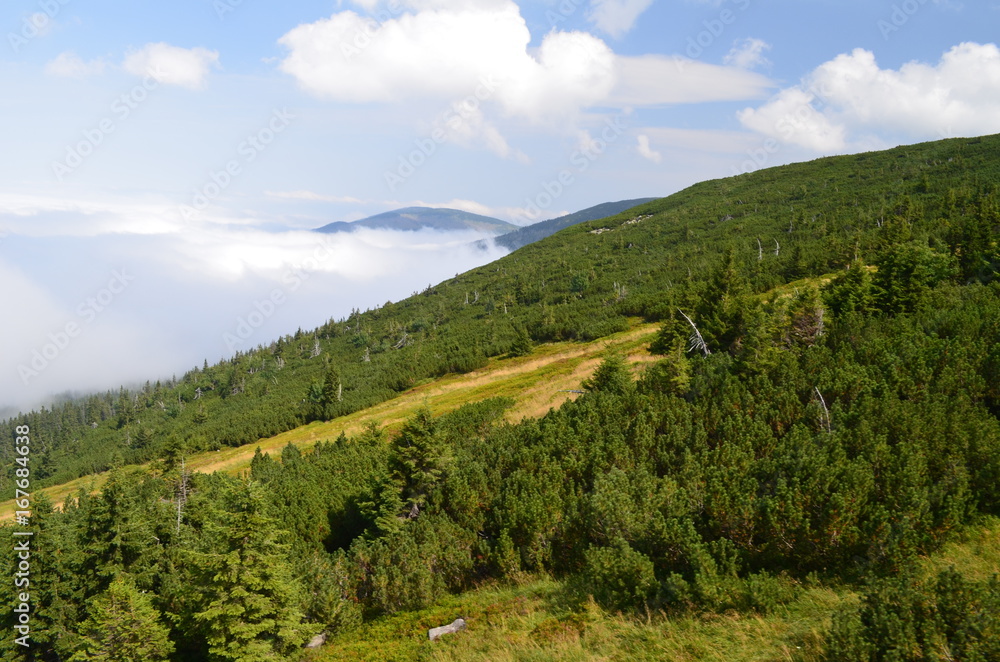 Karkonosze w chmurch latem/Karkonosze Mountains in clouds by summer time, Lower Silesia, Poland