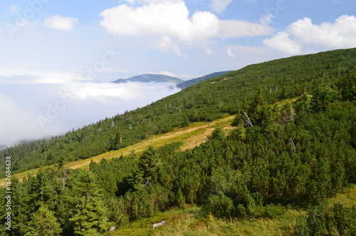 Karkonosze w chmurch latem/Karkonosze Mountains in clouds by summer time, Low...