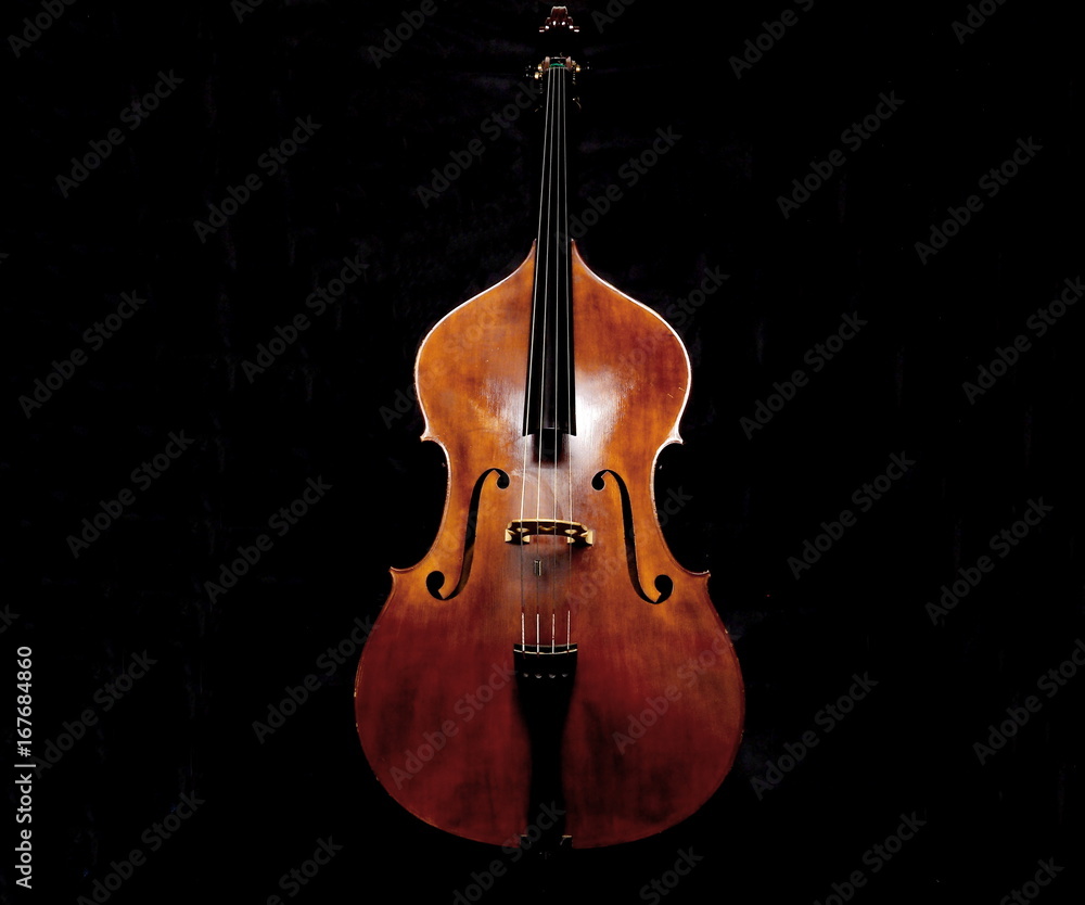 Italian double bass StockFoto Adobe Stock