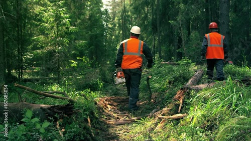 Two woodcutter is walking to the work